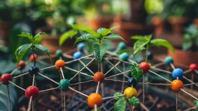 How to Build a Support Network for Your Educational Journey