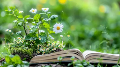 Using Coding to Teach Environmental Science in Schools