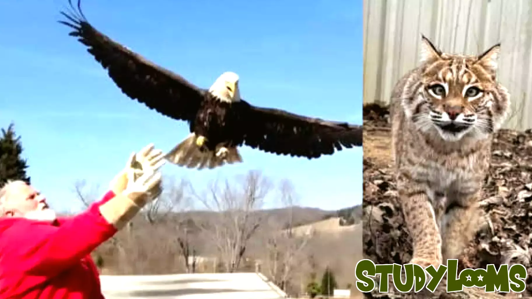 A ‘Must See’ Experience in Rising Sun, Indiana!