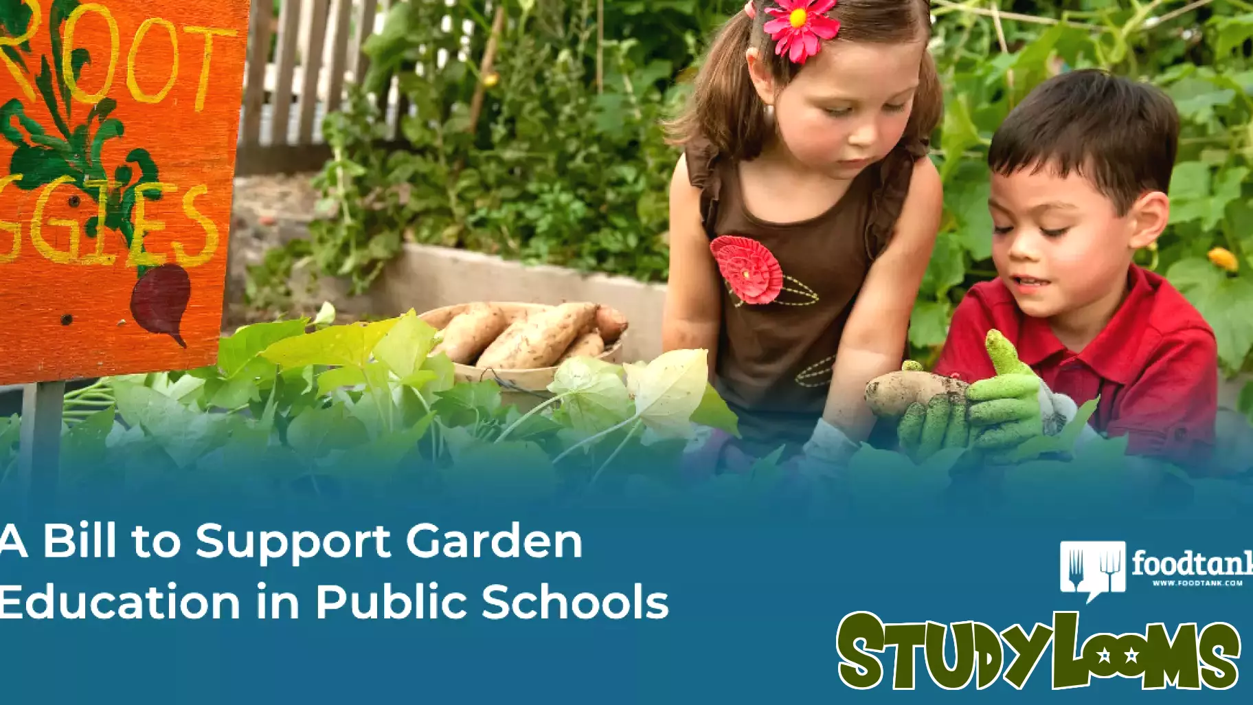 California Lawmakers Push for Enhanced School Garden Education Funding