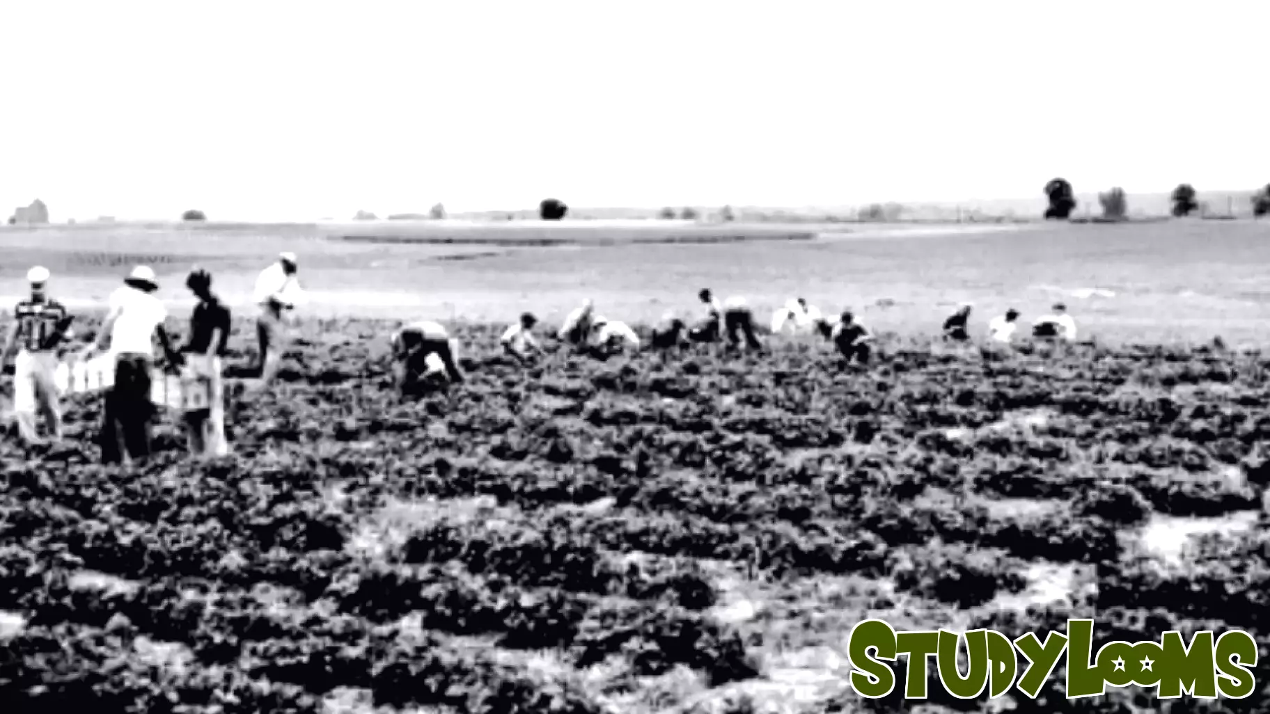 Celebrating a Century of Horticultural Advancement in Kentucky