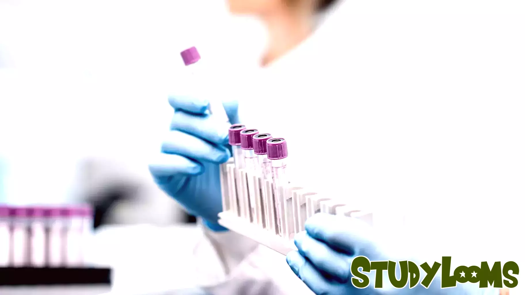 Comparing AI and Human Evaluation of Anesthesia Education Videos