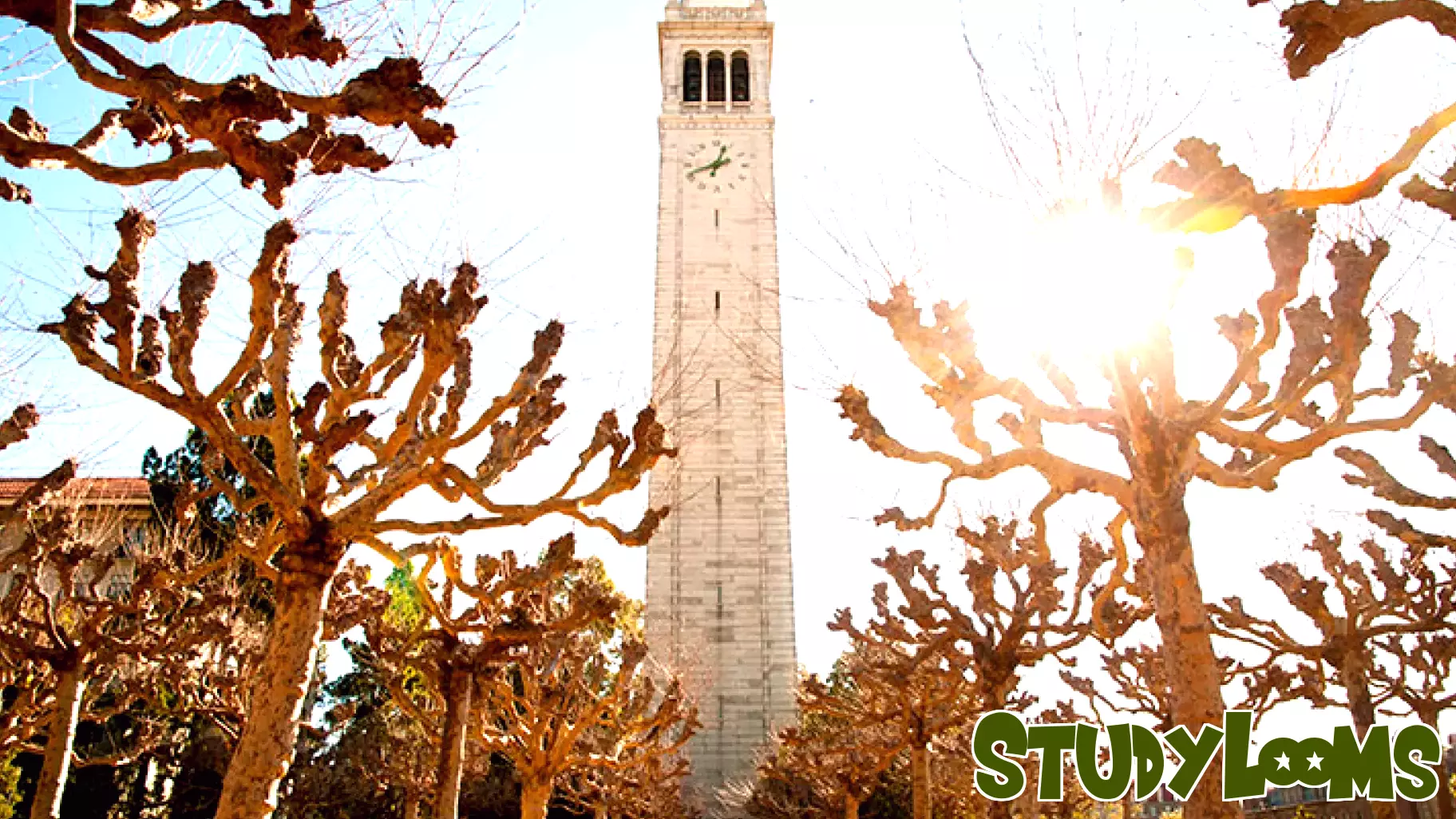 Exciting Opportunity for a Higher Education Reporter