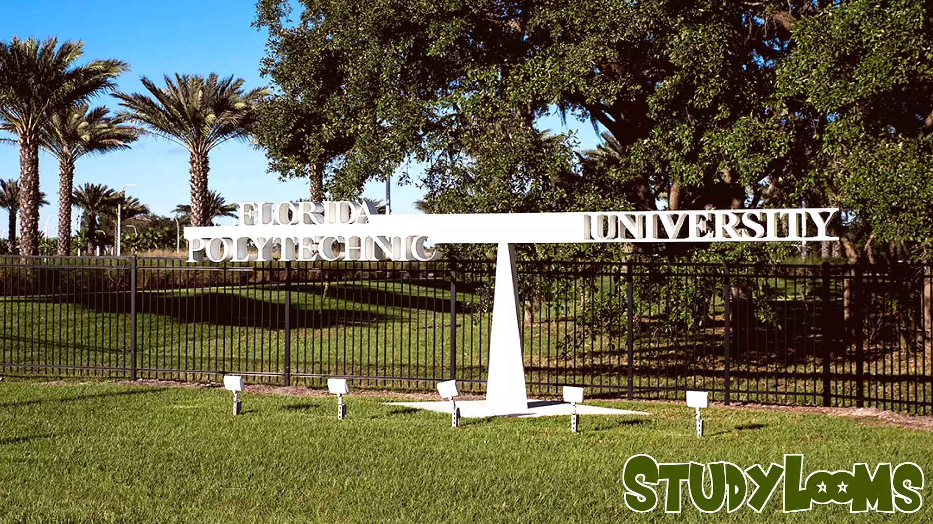 Florida's Universities: Pioneering the Future of Higher Education