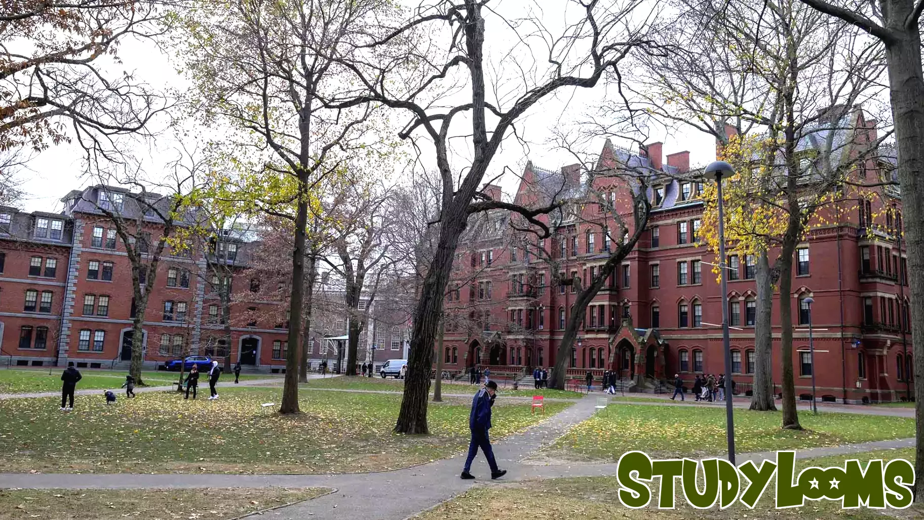 Harvard Implements Hiring Freeze Amidst Federal Pressure on Higher Education
