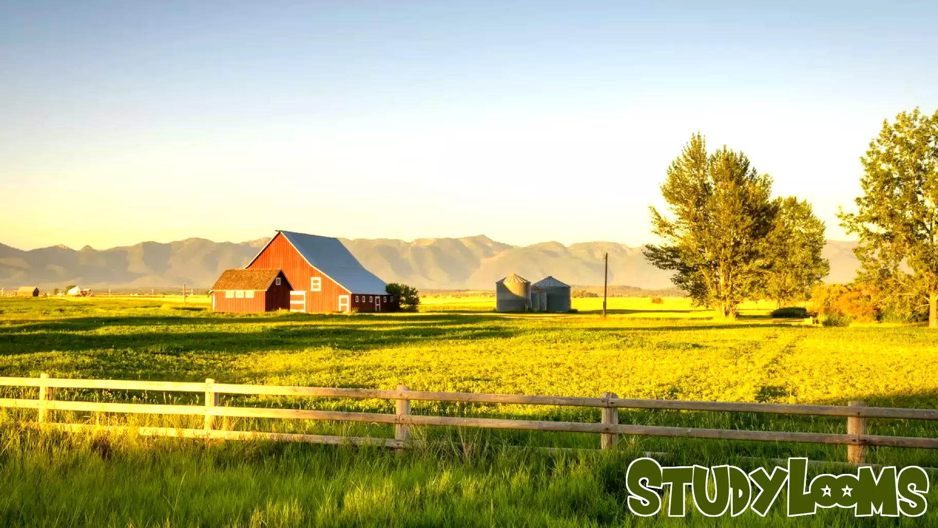 Leading Respiratory Drug Developers Unite for Rural COPD Education and Support