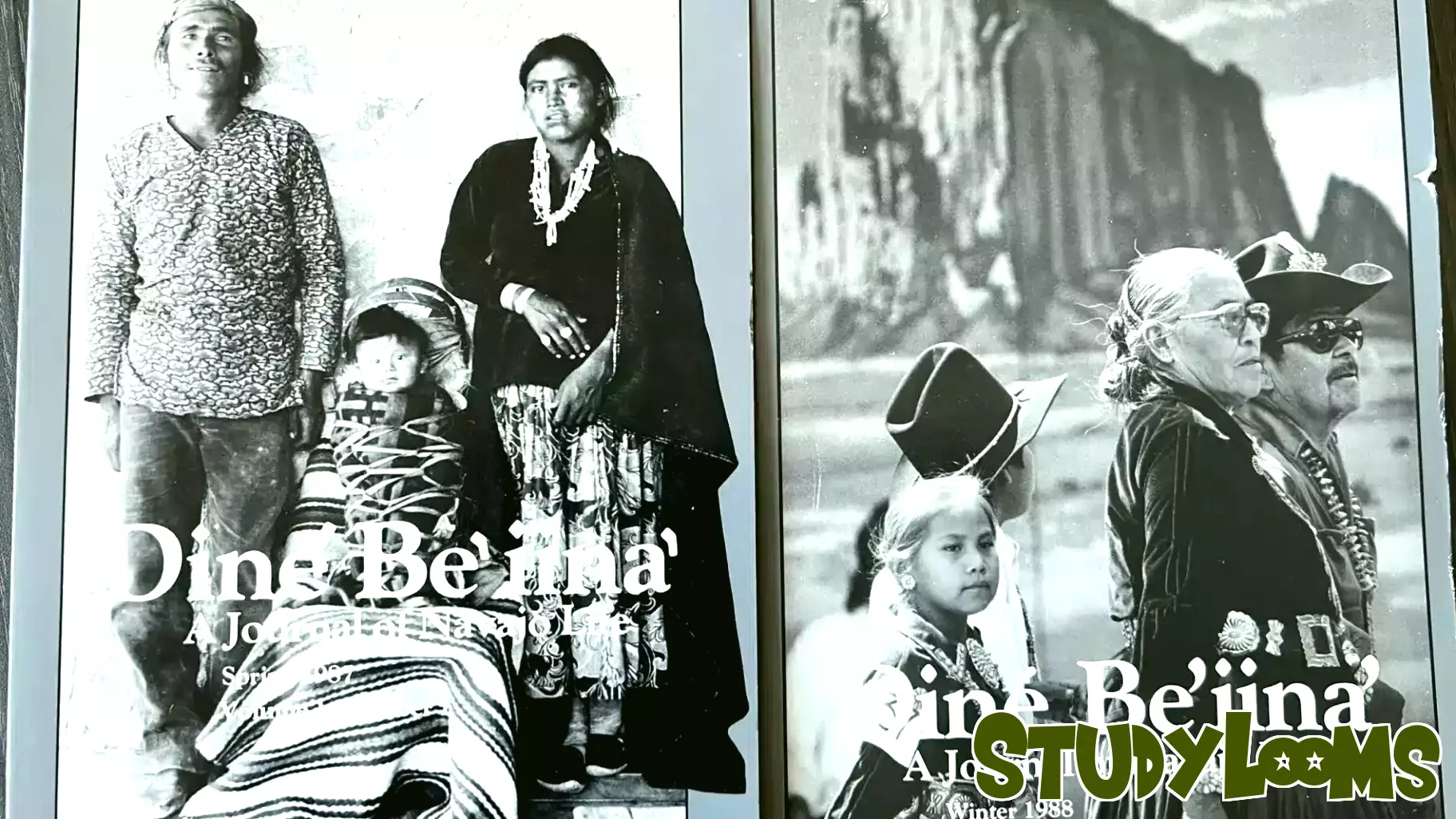 Navajo Nation Transforms Education with Cultural Empowerment