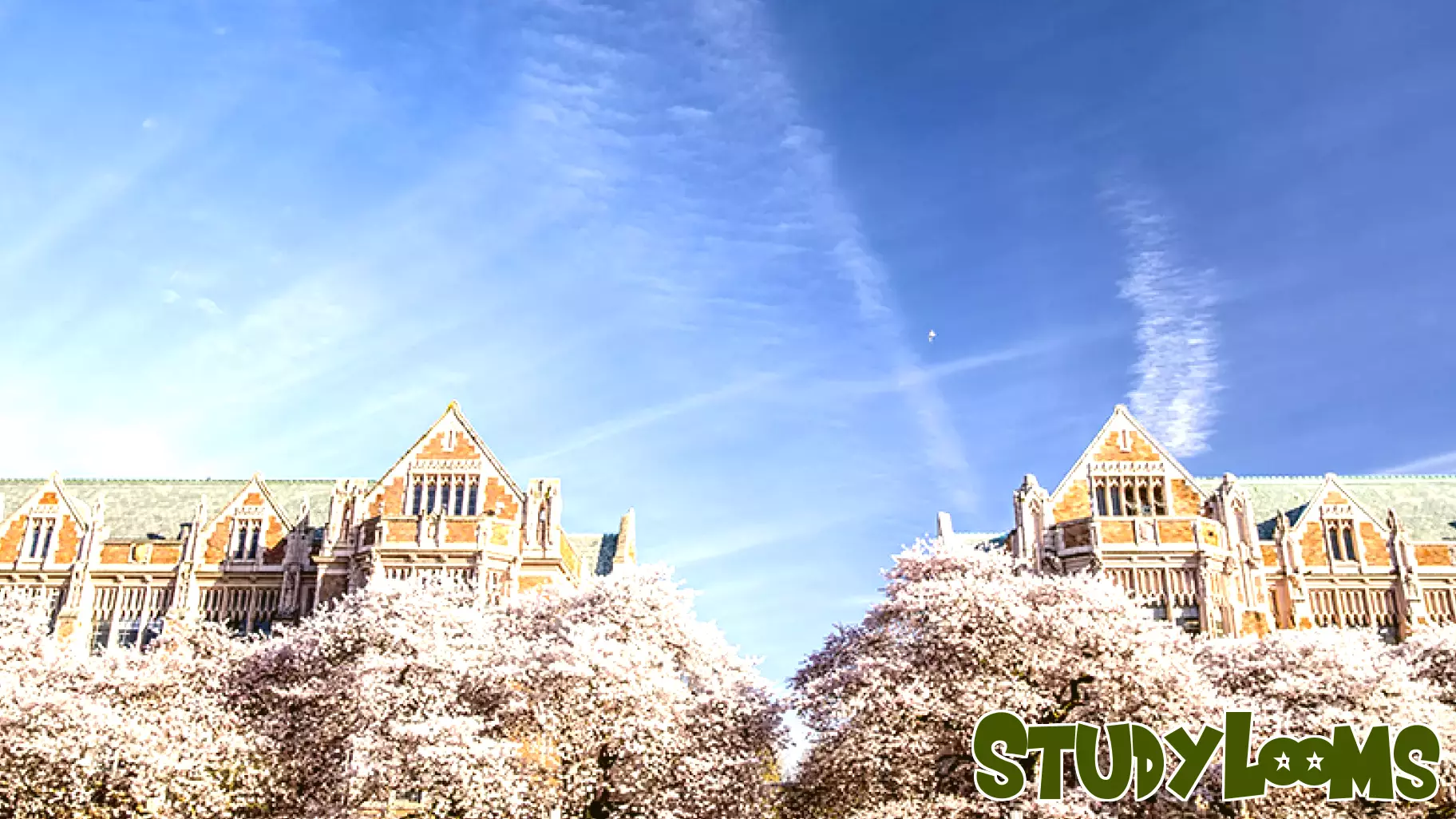 Navigating the Complex Landscape of Higher Education