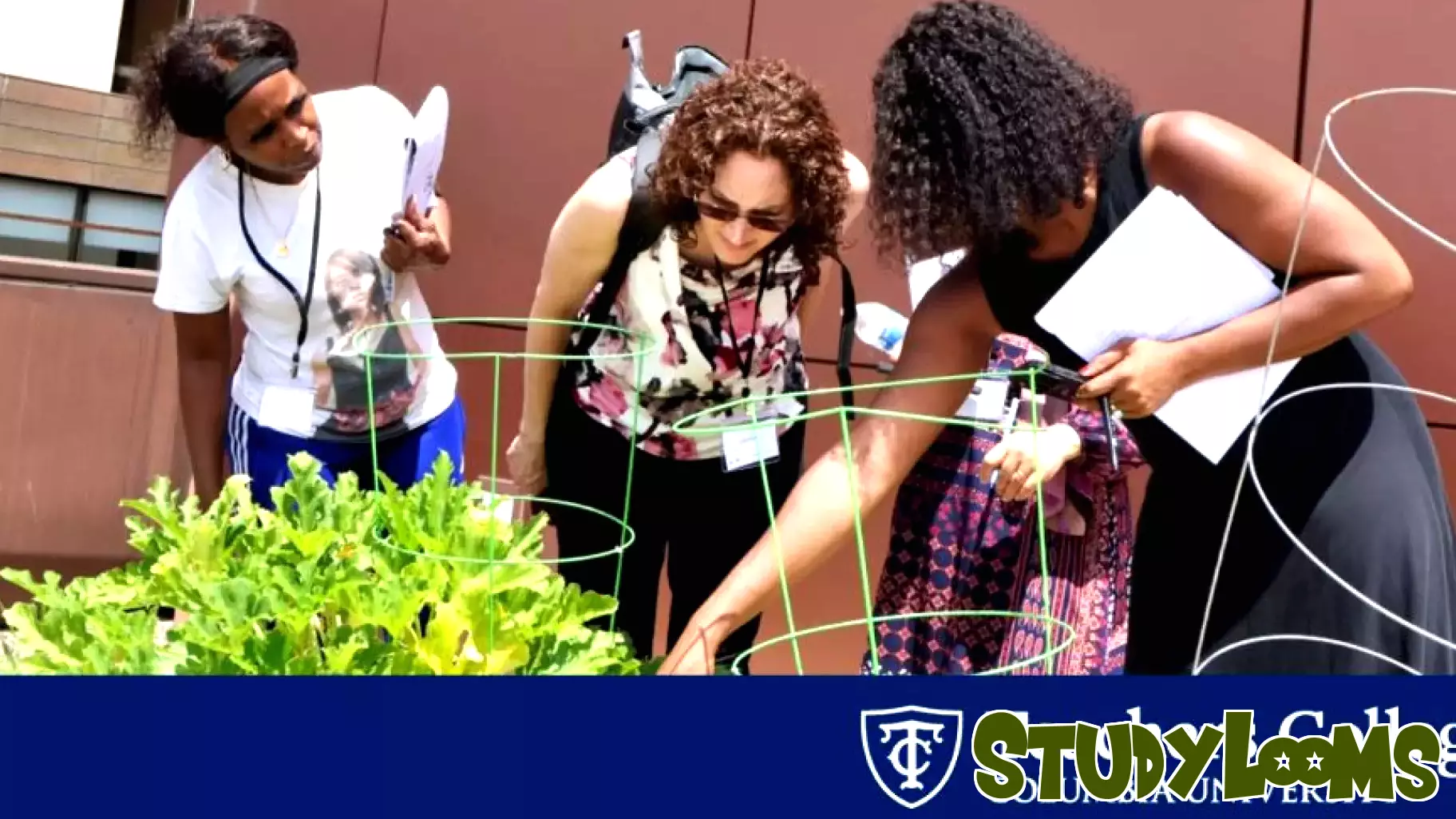 New Online Master's Program to Foster Leadership in Sustainability and Education