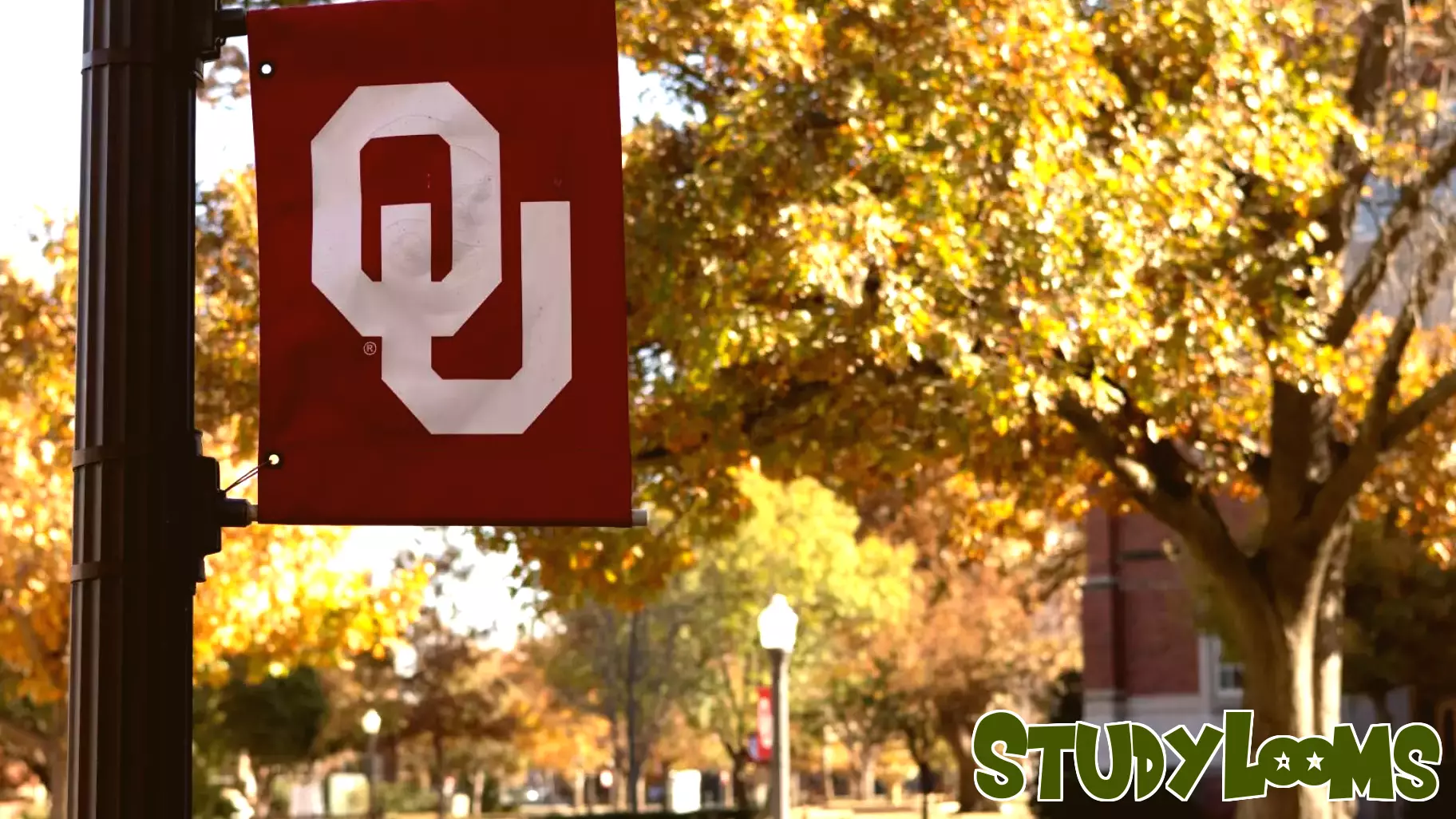 Oklahoma State Regents Make Significant Changes to OU Degree Programs