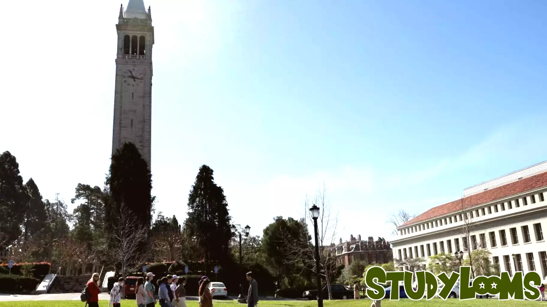 Rethinking the Purpose of College Education