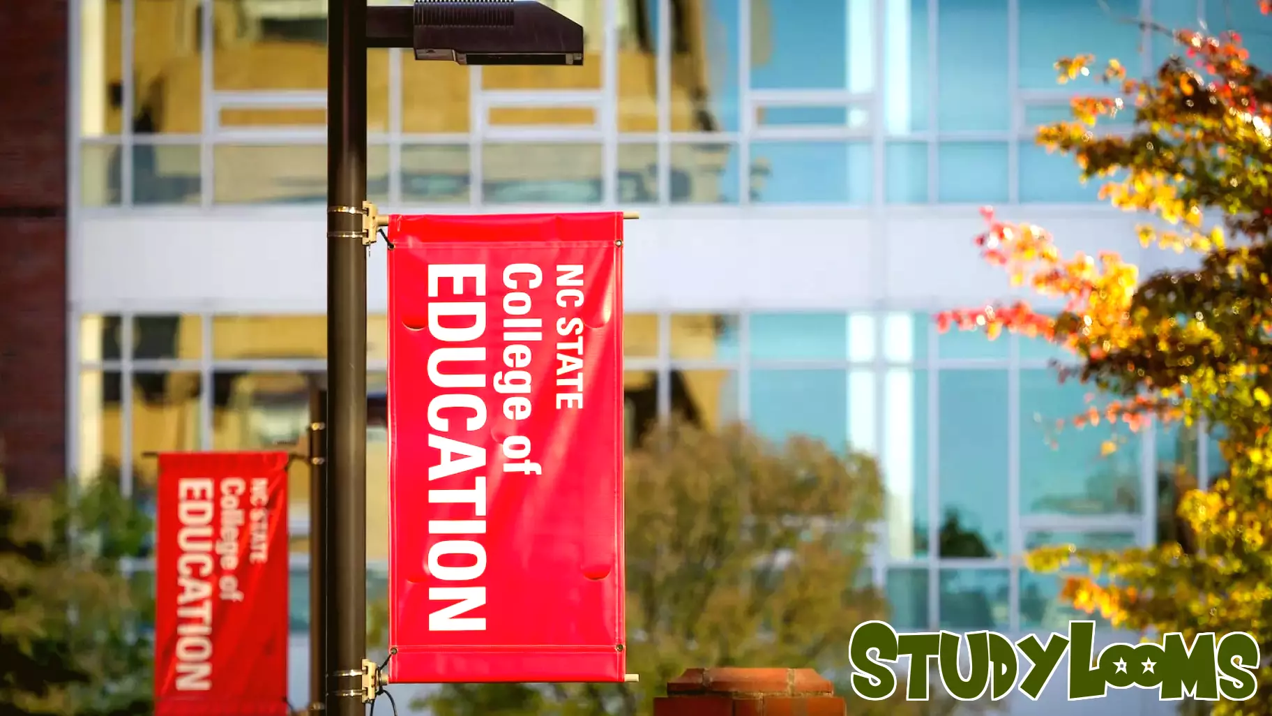 Seventeen Students Selected for Groundbreaking Policy Fellowship