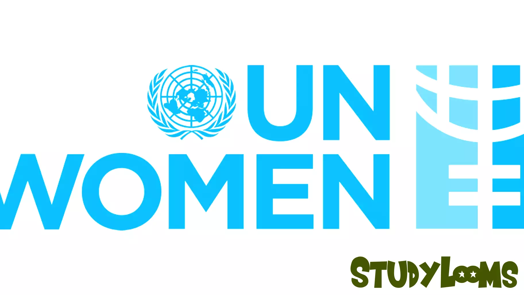 UN Women Unveils Comprehensive Gender Index Highlighting Afghan Women's Struggles