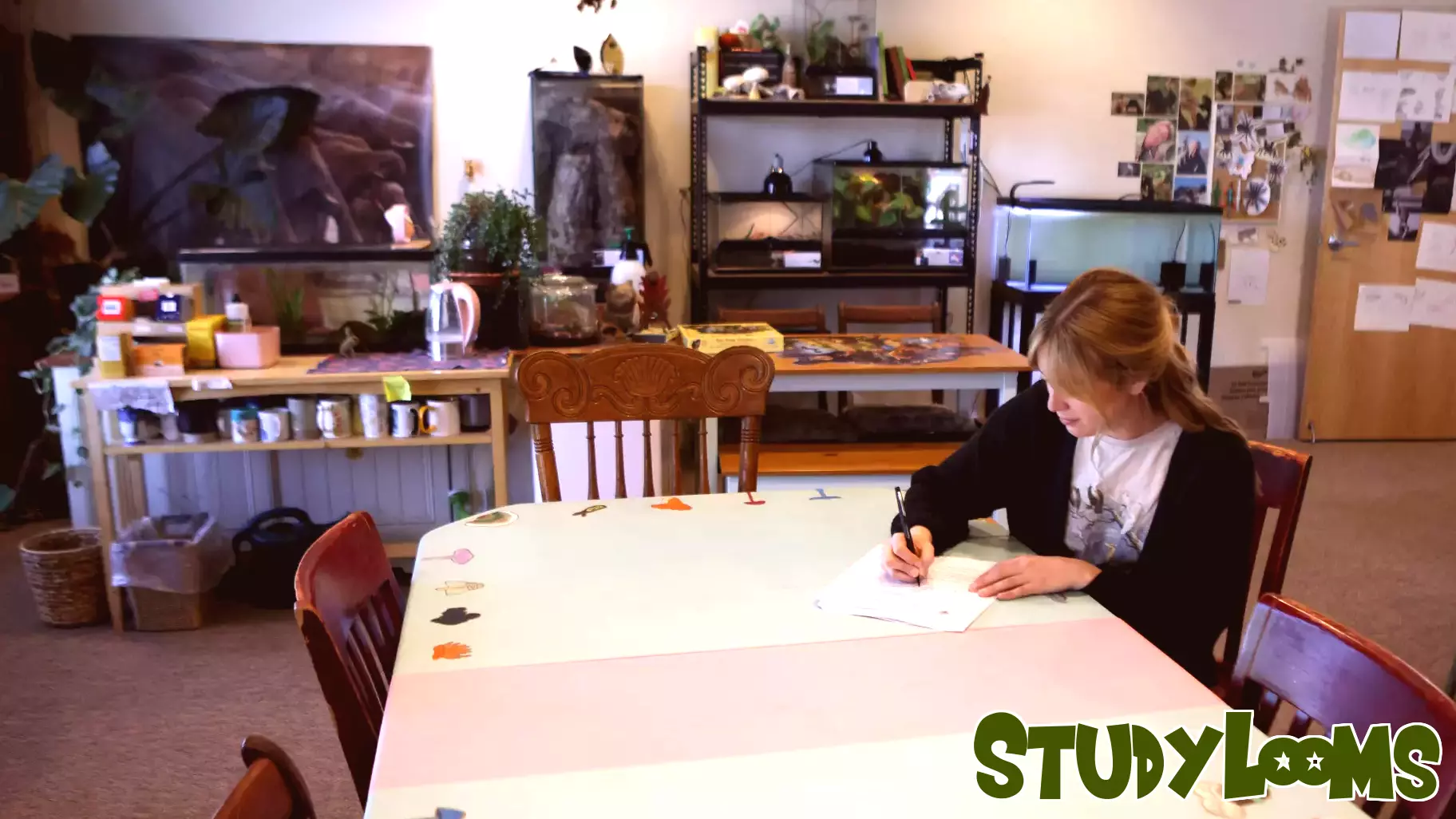 Will Trump's New Spending Legislation Drive Up College Tuition Costs?