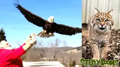 A ‘Must See’ Experience in Rising Sun, Indiana!