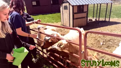 Discovering Opportunities in Killingly High School's Agriculture Program