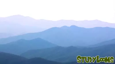 Evaluating North Carolina: A Mixed Bag in State Rankings