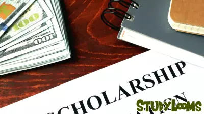 Governors Turning Down Education Funding: A Political Play?