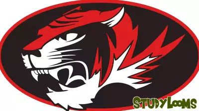 Houston Education Board to Convene for Special Meeting on Ballot Issue