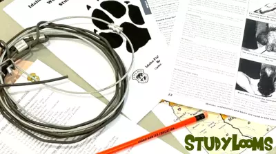 Idaho Fish and Game to Host Trapper Education Classes This Fall