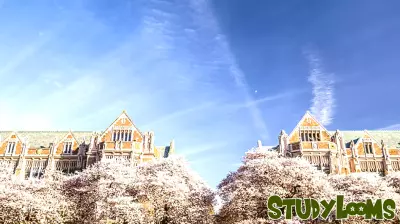 Navigating the Complex Landscape of Higher Education