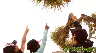 Partnership Enhances Outdoor Education at Joshua Tree National Park