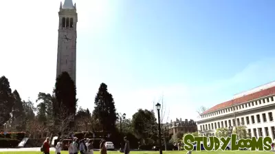 Rethinking the Purpose of College Education