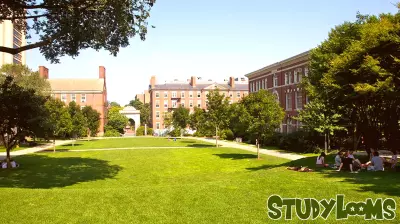 Trust in Universities Declines, Yet Support for Reforms Grows