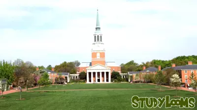 Wake Forest University Secures $30 Million Grant for Character Education Expansion